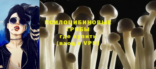 МДПВ Лихославль