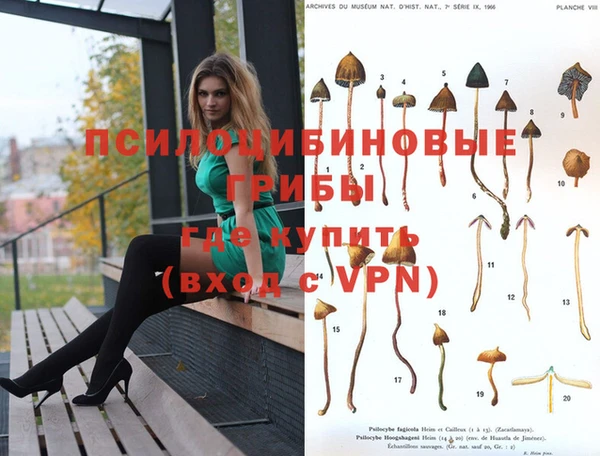 МДПВ Лихославль