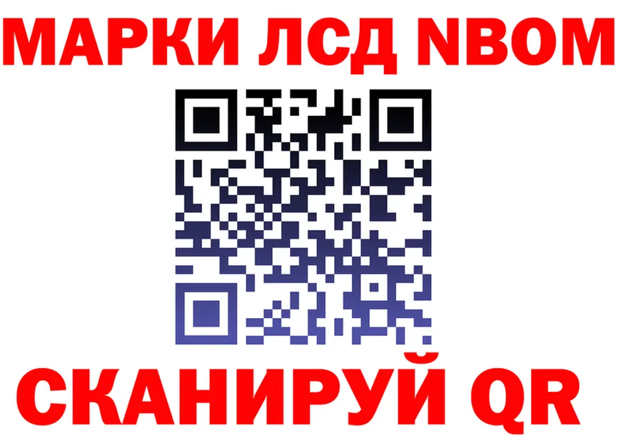 А ПВП СК как войти дарк нет kraken Королёв
