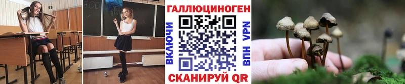 Купить  Королёв  Галлюциногенные грибы мицелий 